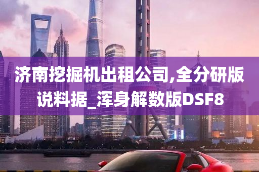 济南挖掘机出租公司,全分研版说料据_浑身解数版DSF8