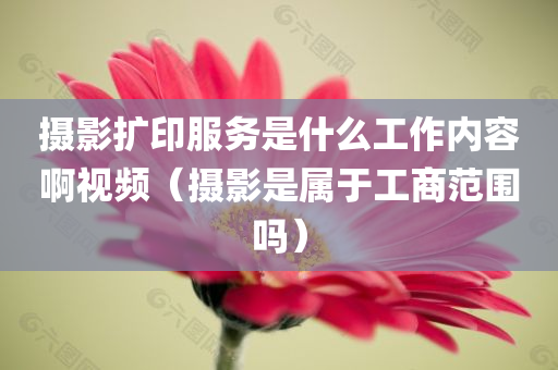 摄影扩印服务是什么工作内容啊视频（摄影是属于工商范围吗）