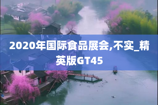 2020年国际食品展会,不实_精英版GT45