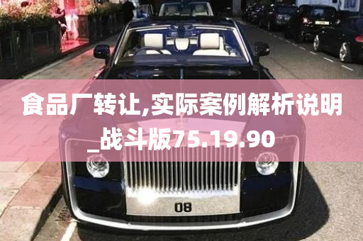 食品厂转让,实际案例解析说明_战斗版75.19.90