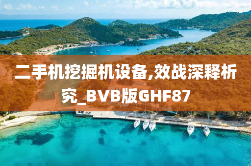 二手机挖掘机设备,效战深释析究_BVB版GHF87