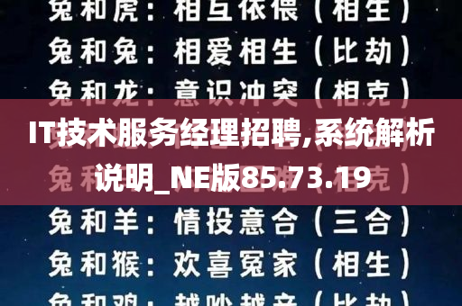 IT技术服务经理招聘,系统解析说明_NE版85.73.19