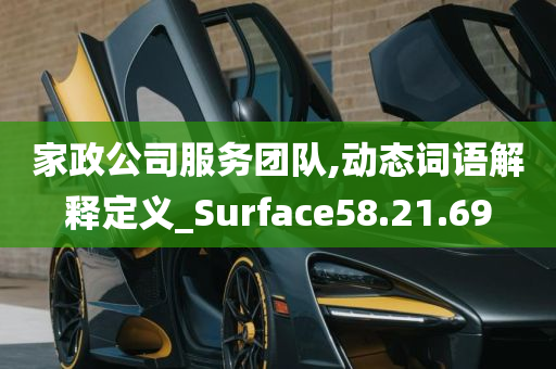 家政公司服务团队,动态词语解释定义_Surface58.21.69