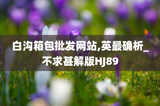 白沟箱包批发网站,英最确析_不求甚解版HJ89