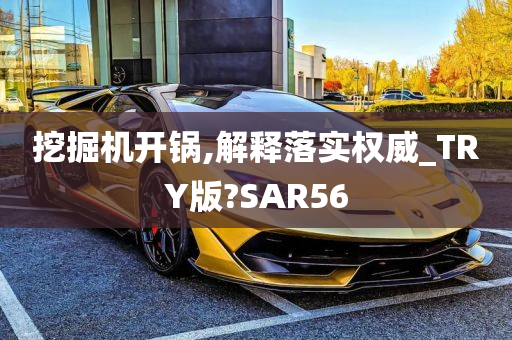 挖掘机开锅,解释落实权威_TRY版?SAR56