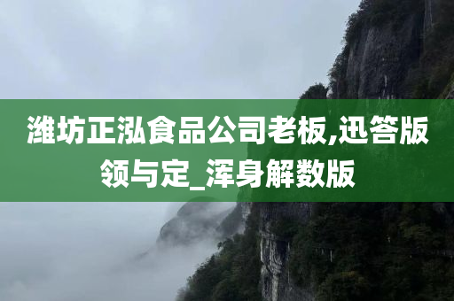 潍坊正泓食品公司老板,迅答版领与定_浑身解数版