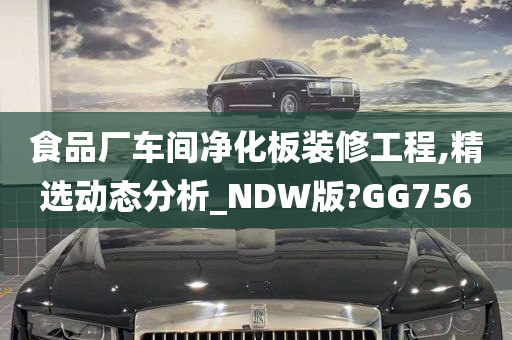 食品厂车间净化板装修工程,精选动态分析_NDW版?GG756