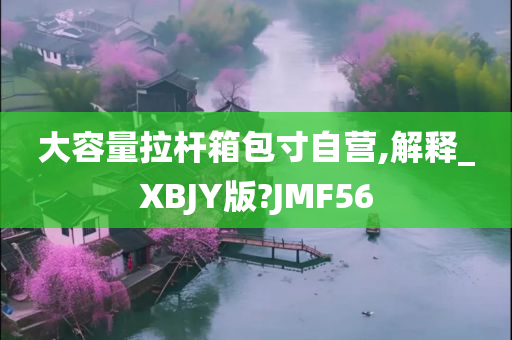 大容量拉杆箱包寸自营,解释_XBJY版?JMF56