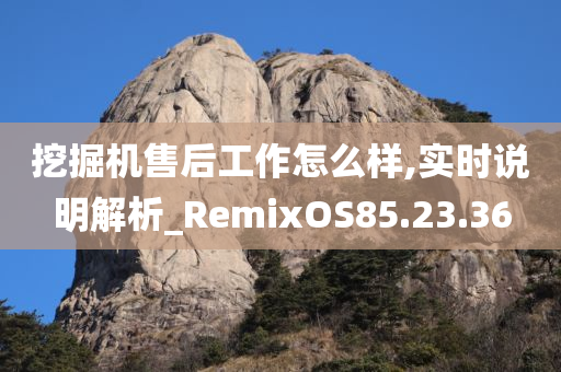 挖掘机售后工作怎么样,实时说明解析_RemixOS85.23.36