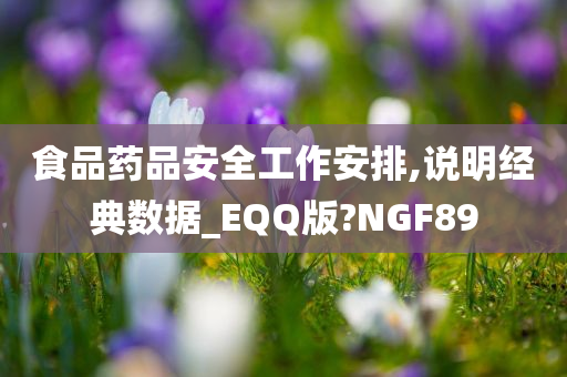 食品药品安全工作安排,说明经典数据_EQQ版?NGF89