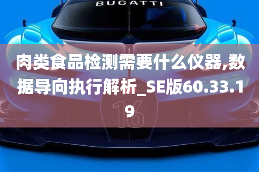 肉类食品检测需要什么仪器,数据导向执行解析_SE版60.33.19