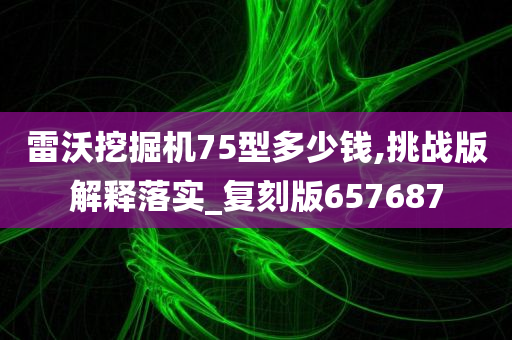 雷沃挖掘机75型多少钱,挑战版解释落实_复刻版657687