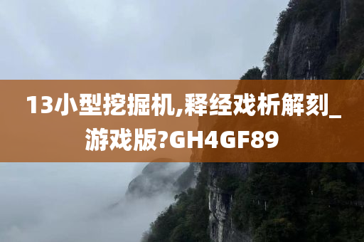 13小型挖掘机,释经戏析解刻_游戏版?GH4GF89