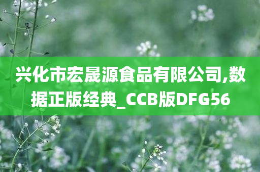 兴化市宏晟源食品有限公司,数据正版经典_CCB版DFG56