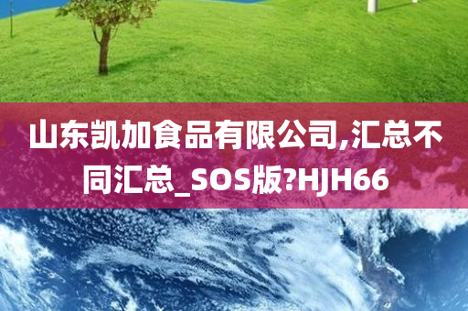 山东凯加食品有限公司,汇总不同汇总_SOS版?HJH66