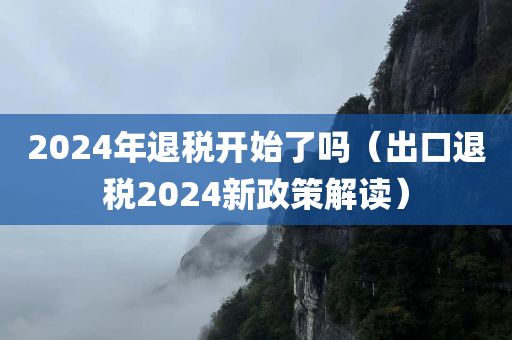 2024年退税开始了吗（出口退税2024新政策解读）