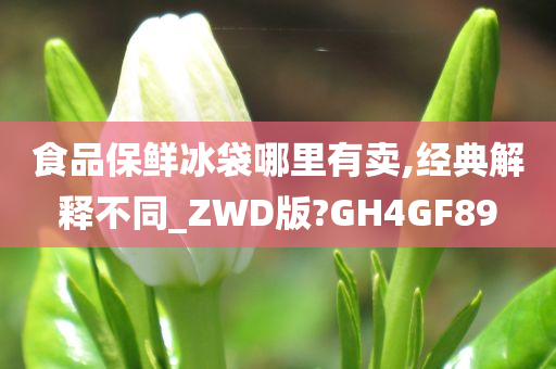 食品保鲜冰袋哪里有卖,经典解释不同_ZWD版?GH4GF89