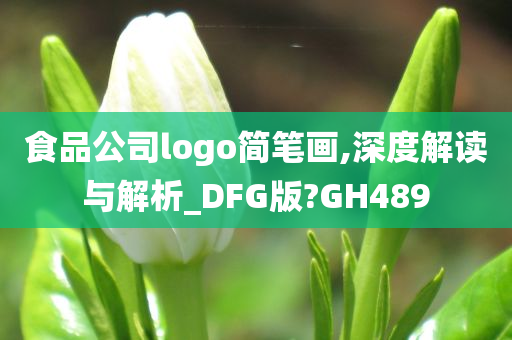 食品公司logo简笔画,深度解读与解析_DFG版?GH489