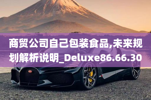 商贸公司自己包装食品,未来规划解析说明_Deluxe86.66.30