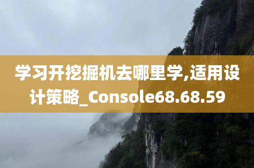 学习开挖掘机去哪里学,适用设计策略_Console68.68.59