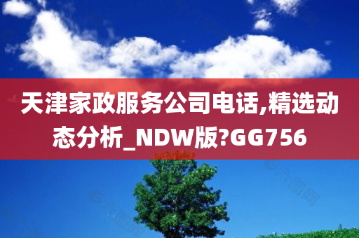 天津家政服务公司电话,精选动态分析_NDW版?GG756