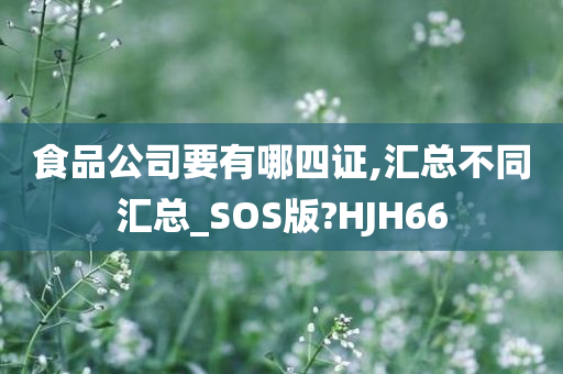 食品公司要有哪四证,汇总不同汇总_SOS版?HJH66