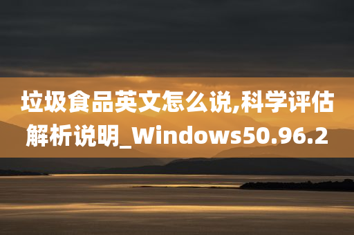 垃圾食品英文怎么说,科学评估解析说明_Windows50.96.20