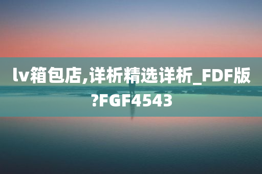 lv箱包店,详析精选详析_FDF版?FGF4543