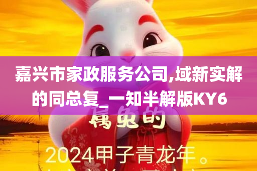 嘉兴市家政服务公司,域新实解的同总复_一知半解版KY6