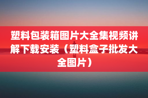 塑料包装箱图片大全集视频讲解下载安装（塑料盒子批发大全图片）