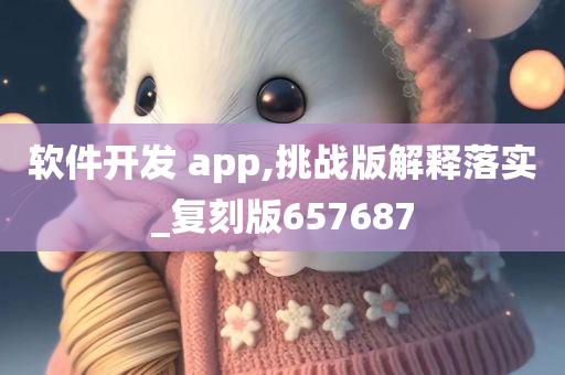 软件开发 app,挑战版解释落实_复刻版657687