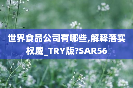 世界食品公司有哪些,解释落实权威_TRY版?SAR56