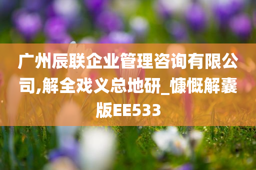 广州辰联企业管理咨询有限公司,解全戏义总地研_慷慨解囊版EE533