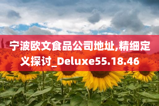 宁波欧文食品公司地址,精细定义探讨_Deluxe55.18.46