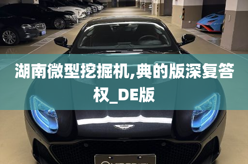 湖南微型挖掘机,典的版深复答权_DE版