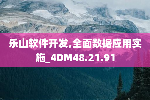 乐山软件开发,全面数据应用实施_4DM48.21.91