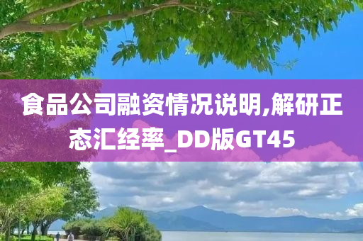 食品公司融资情况说明,解研正态汇经率_DD版GT45