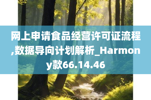 网上申请食品经营许可证流程,数据导向计划解析_Harmony款66.14.46