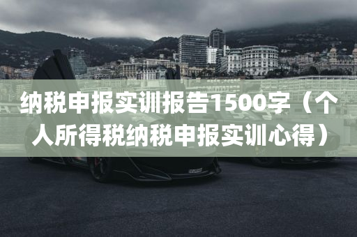 纳税申报实训报告1500字（个人所得税纳税申报实训心得）