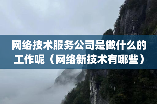 网络技术服务公司是做什么的工作呢（网络新技术有哪些）