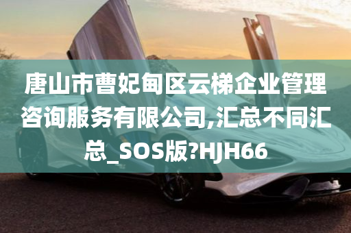 唐山市曹妃甸区云梯企业管理咨询服务有限公司,汇总不同汇总_SOS版?HJH66