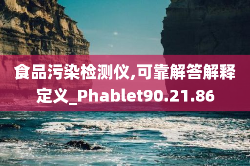 食品污染检测仪,可靠解答解释定义_Phablet90.21.86