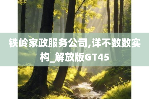 铁岭家政服务公司,详不数数实构_解放版GT45