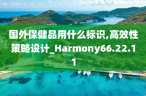 国外保健品用什么标识,高效性策略设计_Harmony66.22.11