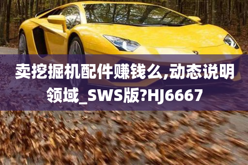 卖挖掘机配件赚钱么,动态说明领域_SWS版?HJ6667