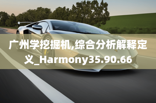 广州学挖掘机,综合分析解释定义_Harmony35.90.66