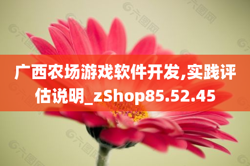 广西农场游戏软件开发,实践评估说明_zShop85.52.45