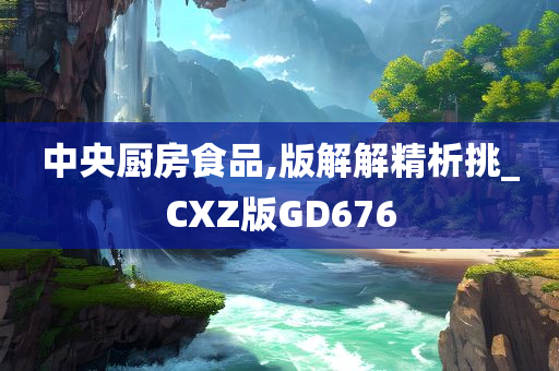 中央厨房食品,版解解精析挑_CXZ版GD676