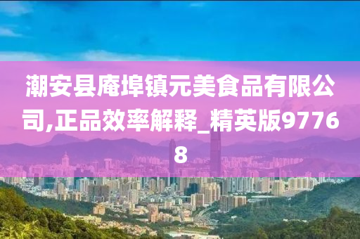 潮安县庵埠镇元美食品有限公司,正品效率解释_精英版97768