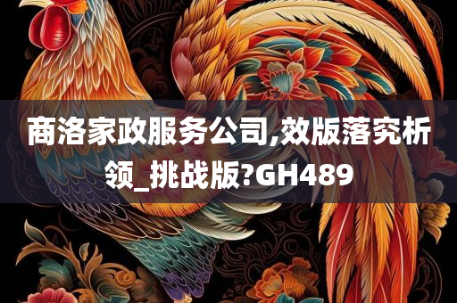 商洛家政服务公司,效版落究析领_挑战版?GH489